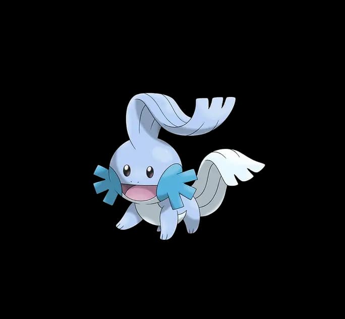 Mudkip